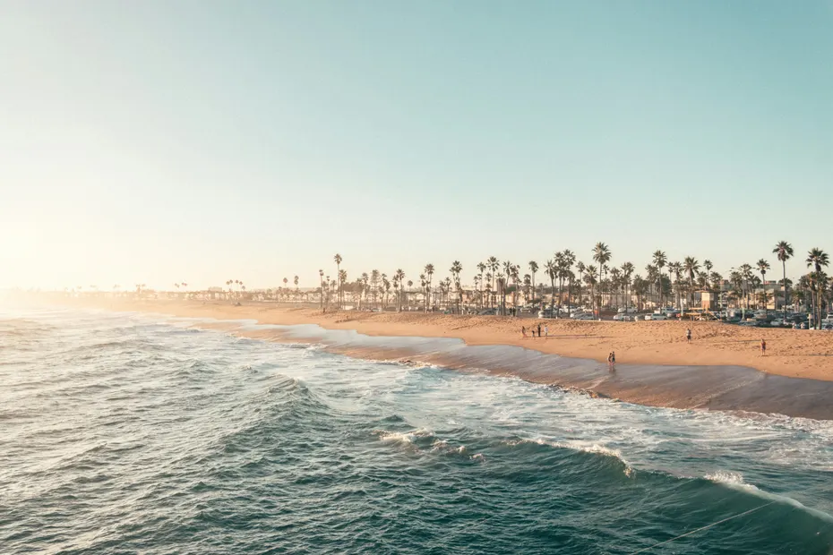 Waves rolling onto the beach at Newport Beach, with palm trees along the shore